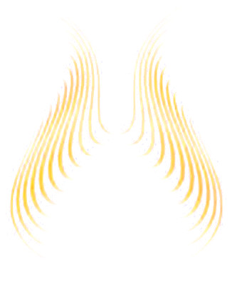 Logo BASH – Bash Aysegül Altindal Akademie